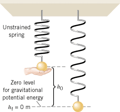 The ball is supported initially so that the spring is unstrained. After being released from rest, the ball falls through the distance h
0 before being momentarily stopped by the spring.