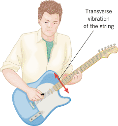 Plucking a guitar string generates transverse waves.