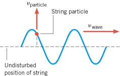 A transverse wave on a string is moving to the right with a constant speed vwave. A string particle moves up and down in simple harmonic motion about the undisturbed position of the string. The speed of the particle vparticle changes from moment to moment as the wave passes.