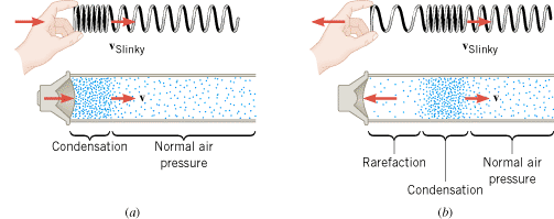 (a) When the speaker diaphragm moves outward, it creates a condensation. (b) When the diaphragm moves inward, it creates a rarefaction. The condensation and rarefaction on the Slinky are included for comparison. In reality, the velocity of the wave on the Slinky v
Slinky is much smaller than the velocity of sound in air v. For simplicity, the two waves are shown here to have the same velocity.
