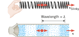 Both the wave on the Slinky and the sound wave are longitudinal. The colored dots attached to the Slinky and to an air molecule vibrate back and forth parallel to the line of travel of the wave.
