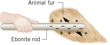 When an ebonite rod is rubbed against animal fur, electrons from atoms of the fur are transferred to the rod. This transfer gives the rod a negative charge () and leaves a positive charge () on the fur.