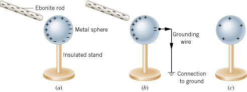 (a) When a charged rod is brought near the metal sphere without touching it, some of the positive and negative charges in the sphere are separated. (b) Some of the electrons leave the sphere through the grounding wire, with the result (c) that the sphere acquires a positive net charge.