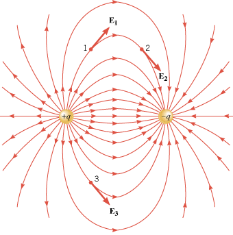 The electric field lines of an electric dipole are curved and extend from the positive to the negative charge. At any point, such as 1, 2, or 3, the field created by the dipole is tangent to the line through the point.