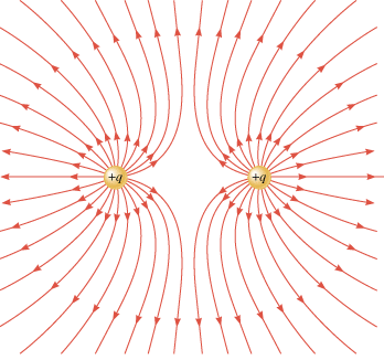 The electric field lines for two identical positive point charges. If the charges were both negative, the directions of the lines would be reversed.
