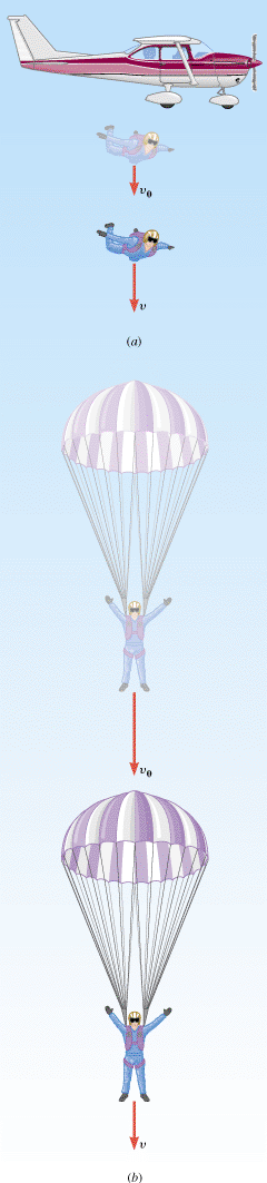 (a) A skydiver falls initially with her parachute unopened. (b) Later on, she opens her parachute. Her acceleration is different in the two parts of the motion. The initial and final velocities are v
0 and v, respectively.