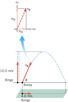 Example 12 discusses the projectile motion shown here, in which three circus clowns, Burpy, Bongo, and Bingo, are launched simultaneously.