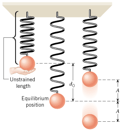 The weight of an object on a vertical spring stretches the spring by an amount d
0. Simple harmonic motion of amplitude A occurs with respect to the equilibrium position of the object on the stretched spring.