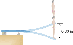 A diver at the end of a diving board is bouncing up and down in simple harmonic motion.
