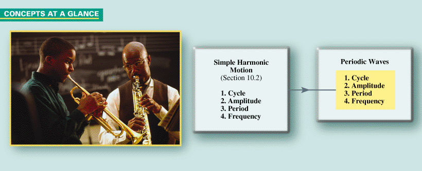 CONCEPTS AT A GLANCE For periodic waves, the terms cycle, amplitude, period, and frequency have the same meaning as they do in simple harmonic motion. Sound, such as that produced by these musicians, is a periodic wave and is described using this terminology. ( Andy Sacks/Stone/Getty Images)