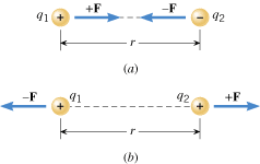 Each point charge exerts a force on the other. Regardless of whether the forces are (a) attractive or (b) repulsive, they are directed along the line between the charges and have equal magnitudes.