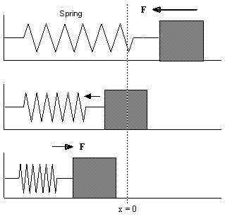 The Ideal Spring and Simple Harmonic Motion