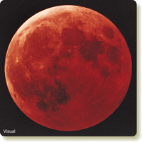 Figure 3-4 from textbook