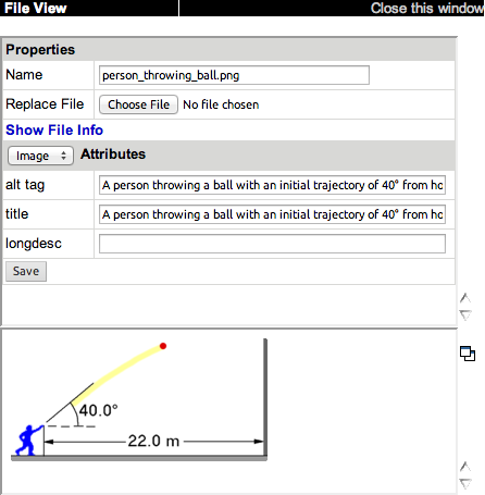 File View window