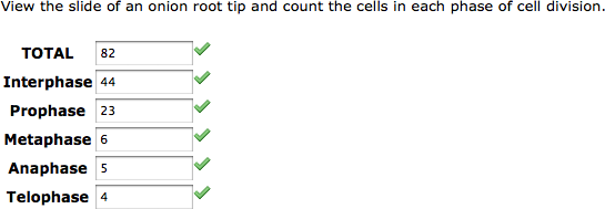 Question as displayed to students