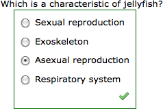 question as it is displayed to students