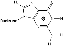 structure of guanine