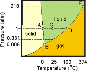 phase diagram