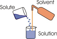 components of a solution