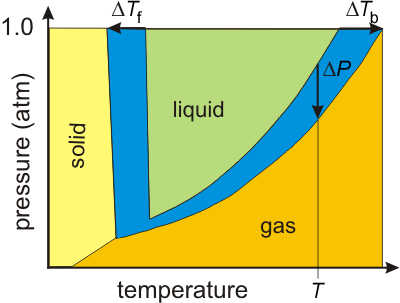 Differences in the phase diagrams of water and an aqueous solution