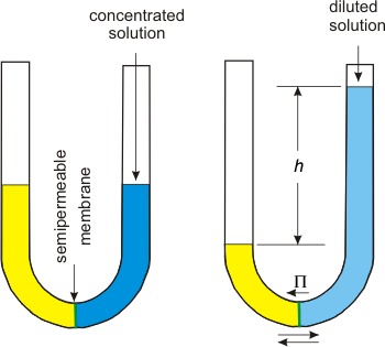 osmotic pressure