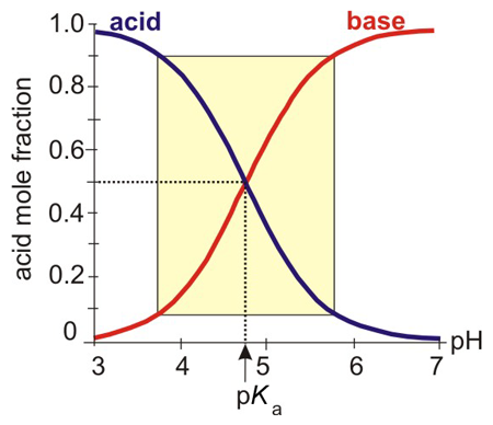 The Effective buffer range lies within one p H unit of the p K_a.